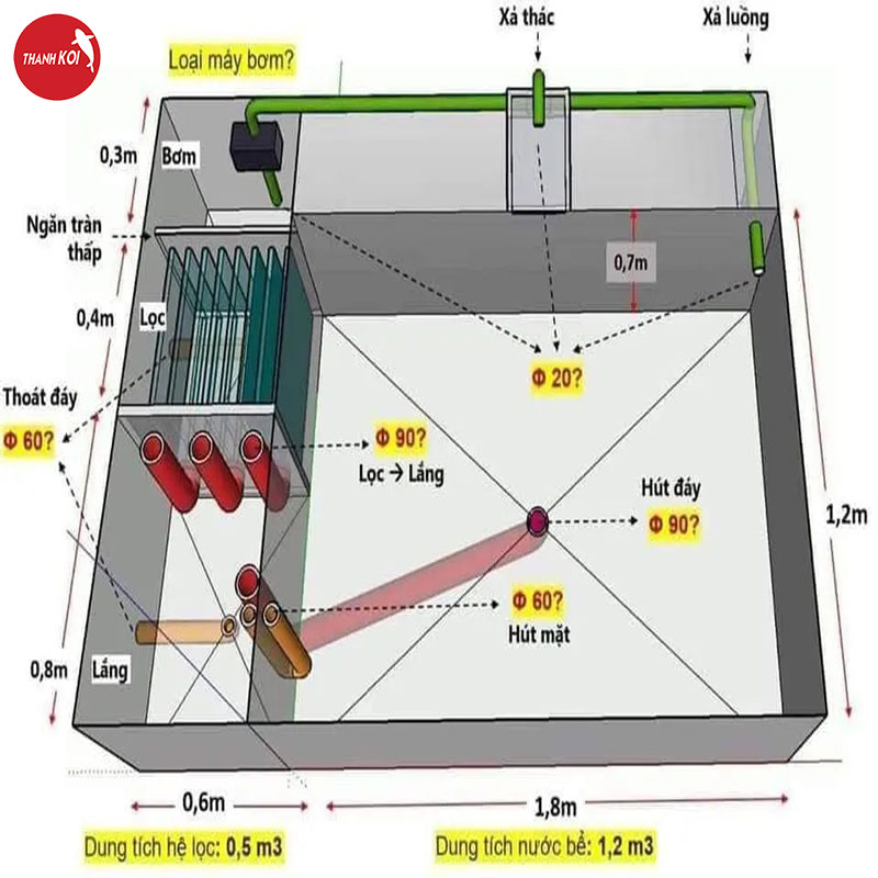 Thiết Kế Hồ Cá Koi Tại Tphcm & Toàn Quốc